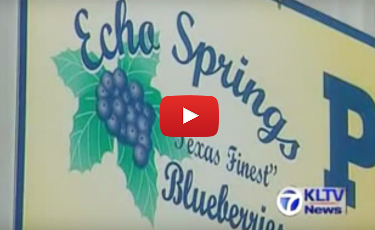 Echo Springs Blueberry Farm